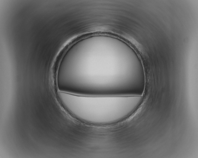 X0000112491118200908170946