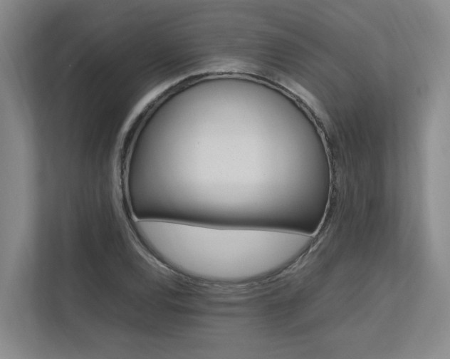 X0000112491120200908170946