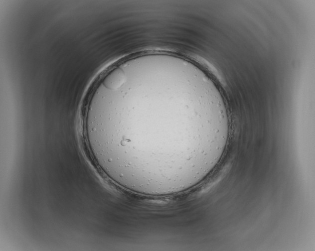 X0000112491125200908170946
