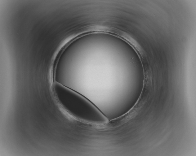 X0000112491128200908170946
