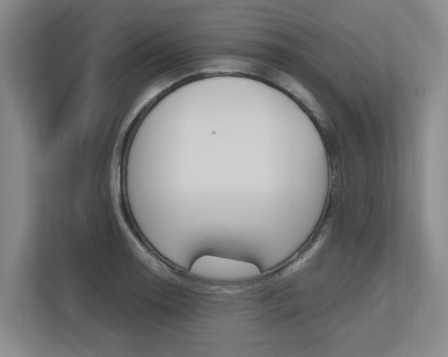 X0000112491130200908170946