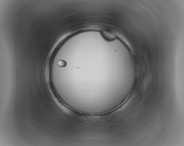 X0000112491131200908170946