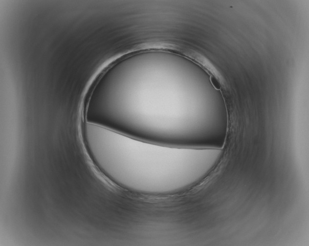 X0000112491132200908170946
