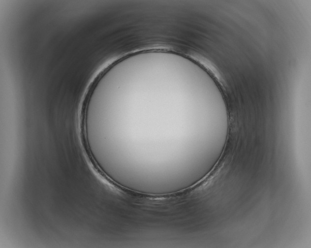 X0000112491135200908170946