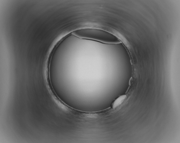 X0000112491136200908170946