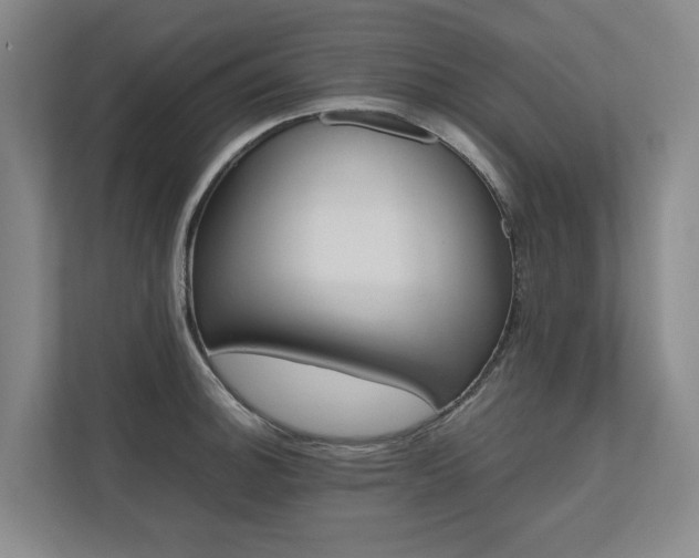 X0000112491140200908170946