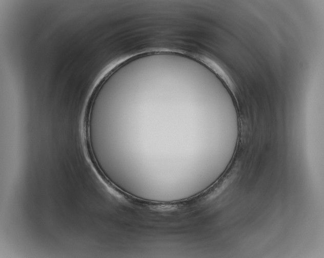 X0000112491141200908170946
