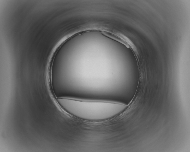 X0000112491144200908170946