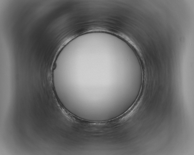X0000112491145200908170946