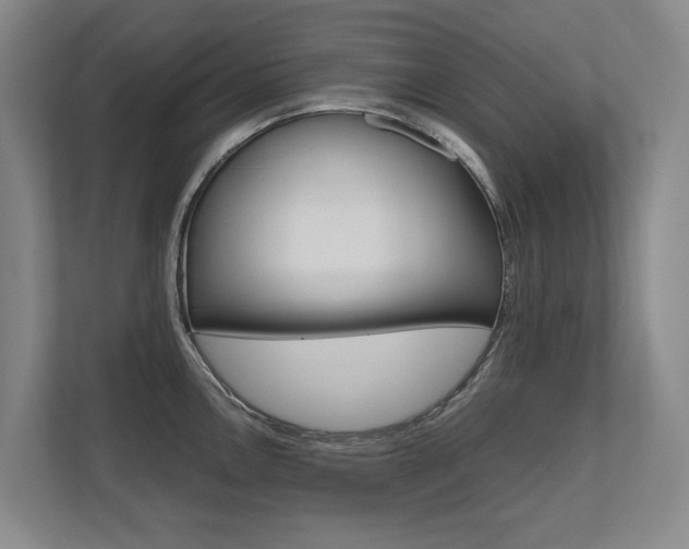 X0000112491146200908170946