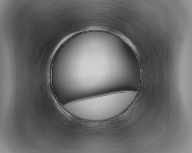 X0000112491148200908170946