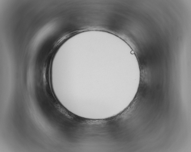 X0000112491150200908170946