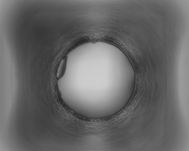 X0000112491153200908170945