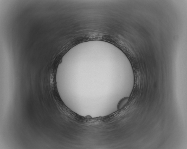 X0000112491154200908170945