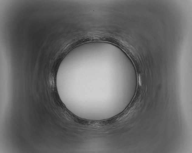 X0000112491155200908170945