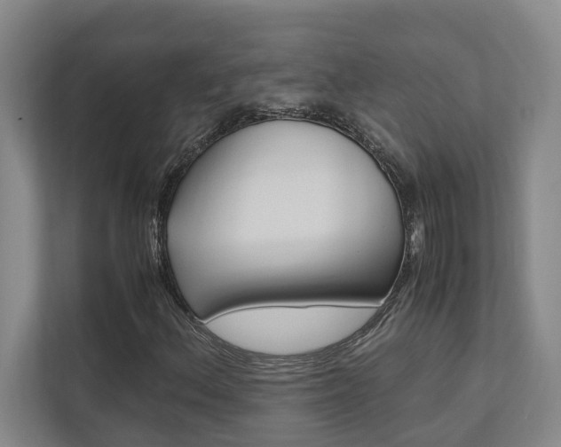 X0000112491156200908170945