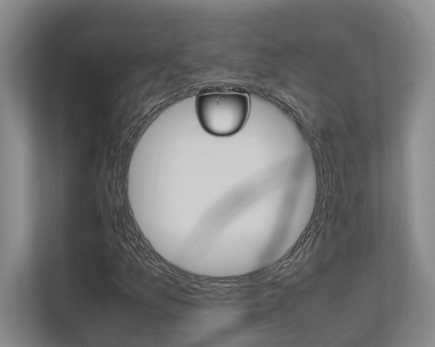 X0000112491157200908170945