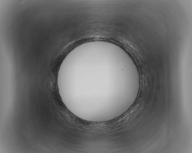 X0000112491158200908170945