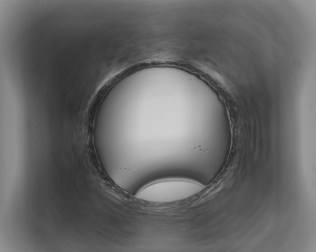 X0000112491160200908170945