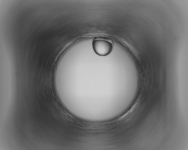 X0000112491162200908170945