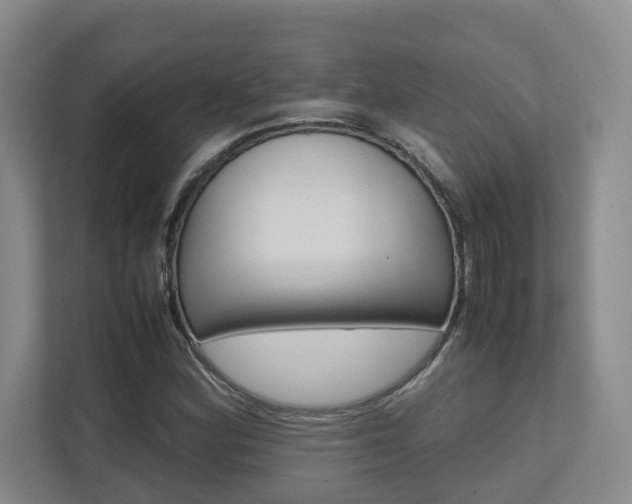 X0000112491164200908170945
