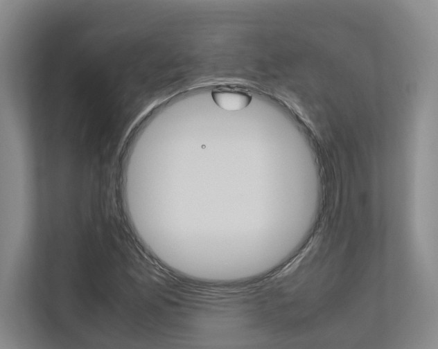 X0000112491165200908170945