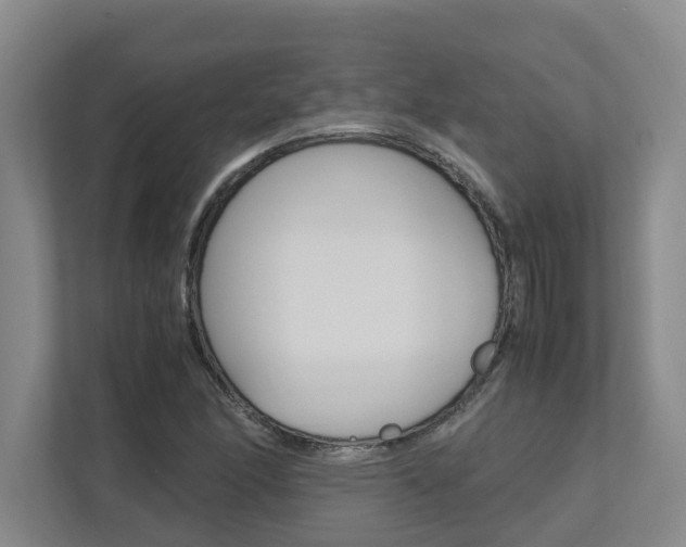 X0000112491166200908170945