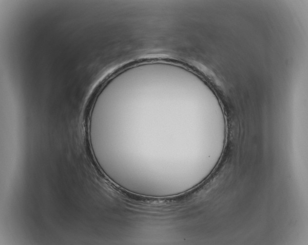 X0000112491167200908170945