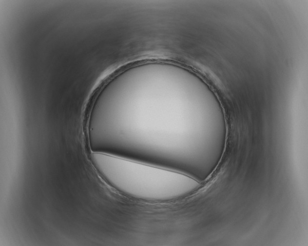 X0000112491168200908170945