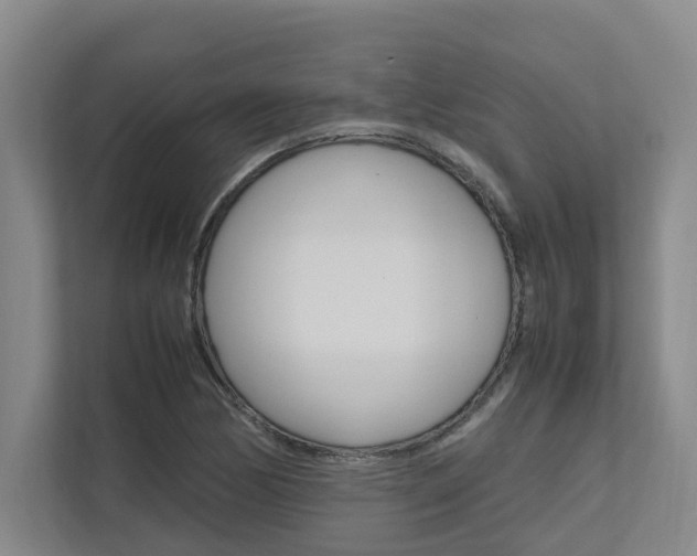X0000112491170200908170945