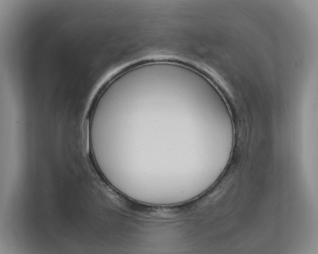 X0000112491175200908170945