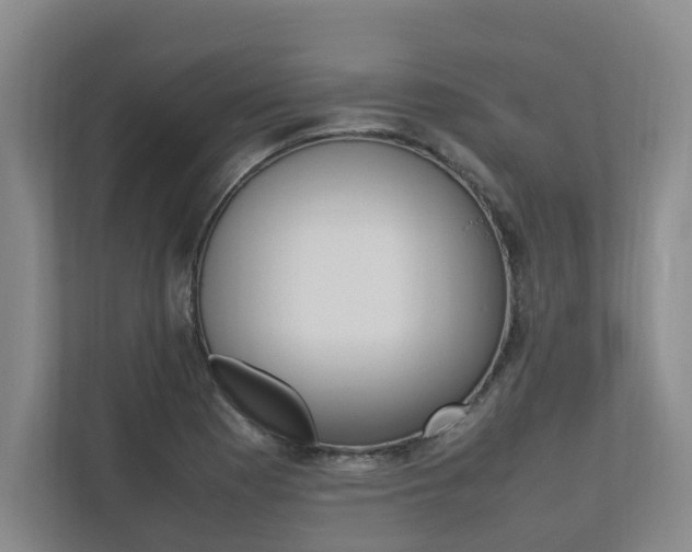 X0000112491177200908170945