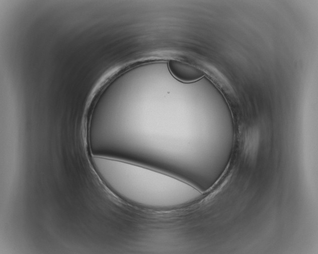 X0000112491180200908170945