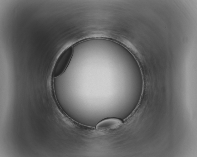 X0000112491181200908170945