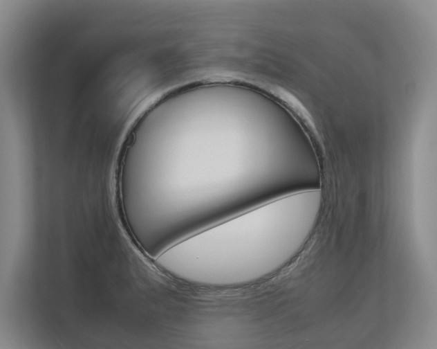 X0000112491183200908170945