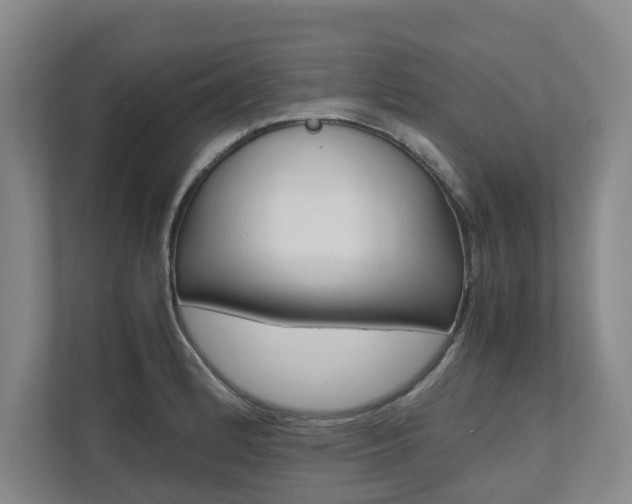 X0000112491184200908170945
