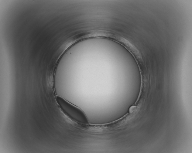 X0000112491185200908170945