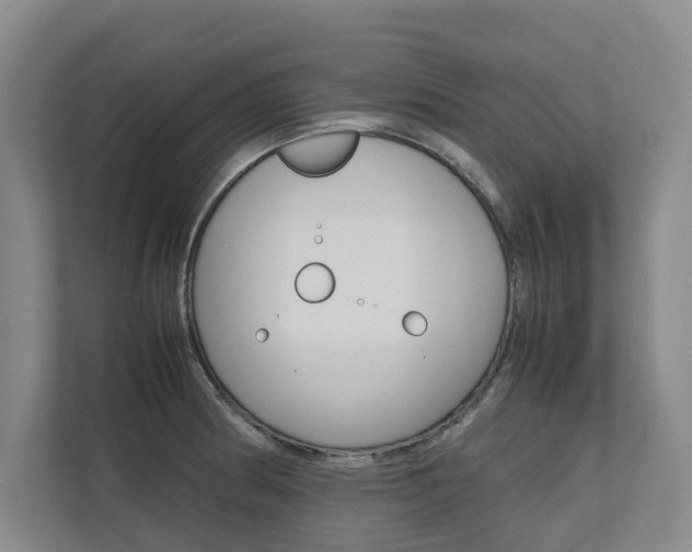 X0000112491186200908170945