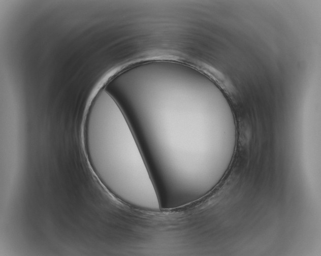 X0000112491188200908170945