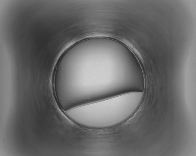X0000112491189200908170945