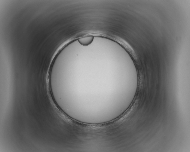 X0000112491190200908170945