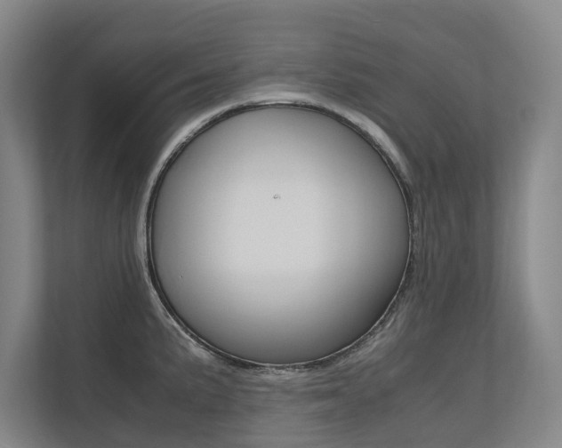 X0000112491191200908170945