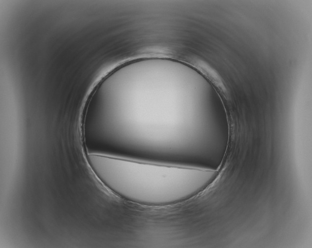 X0000112491192200908170945