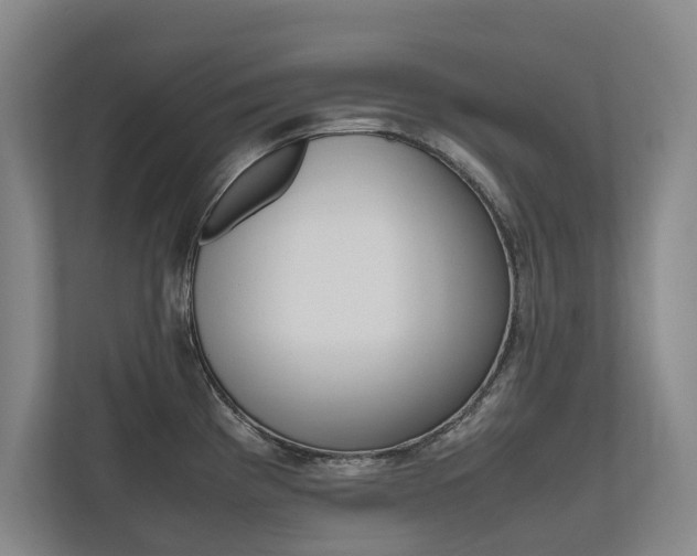 X0000112491193200908170945