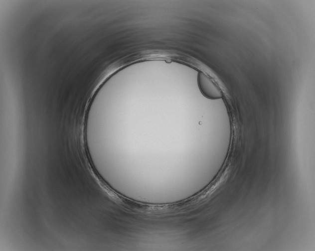 X0000112491194200908170945