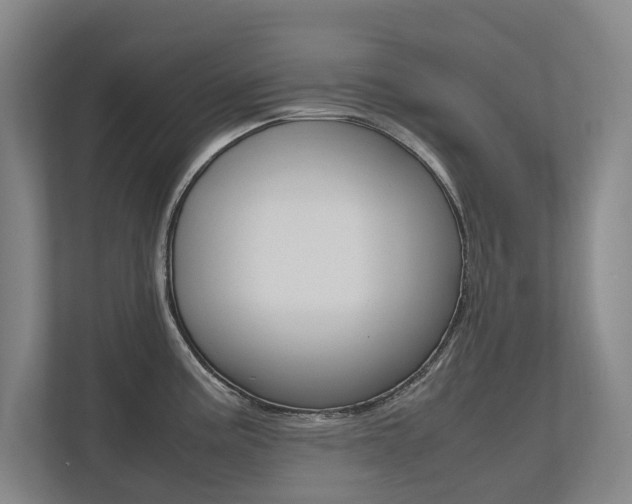 X0000112491195200908170945
