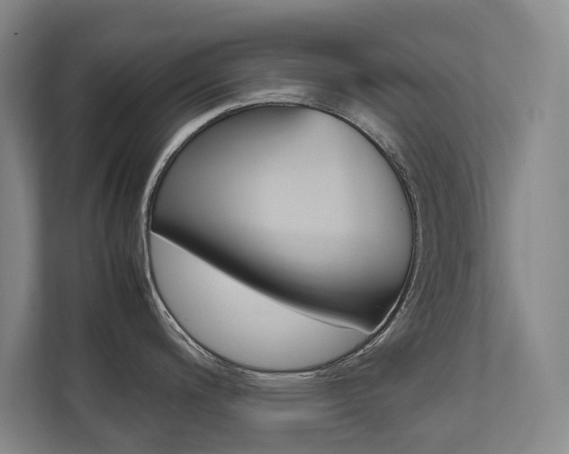 X0000112491200200908170945