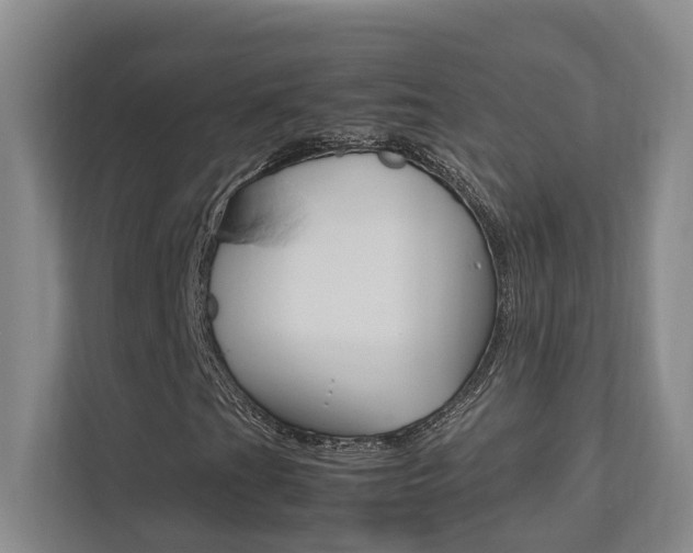 X0000112491201200908170944
