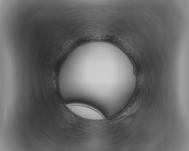 X0000112491202200908170944