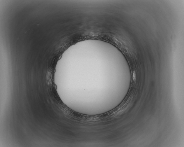 X0000112491203200908170944